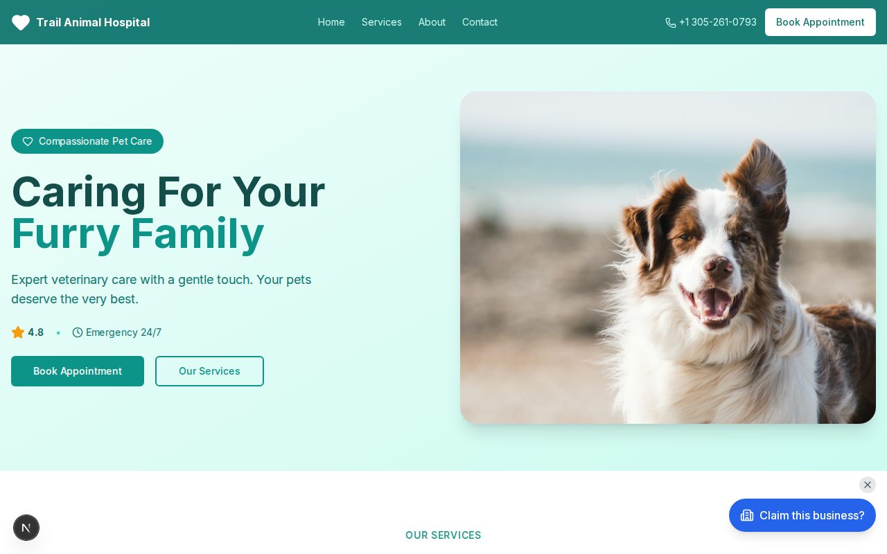PetCare Veterinary website design